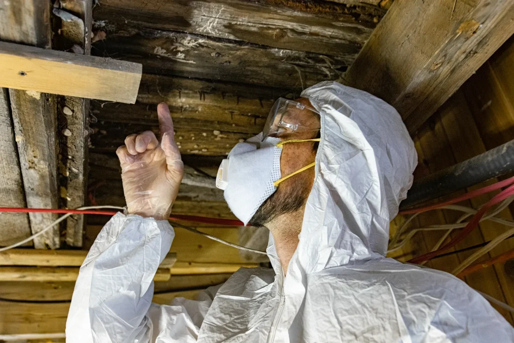 Asbestos Testing Spring Hill Asbestos Surveys Spring Hill Asbestos Inspections Image